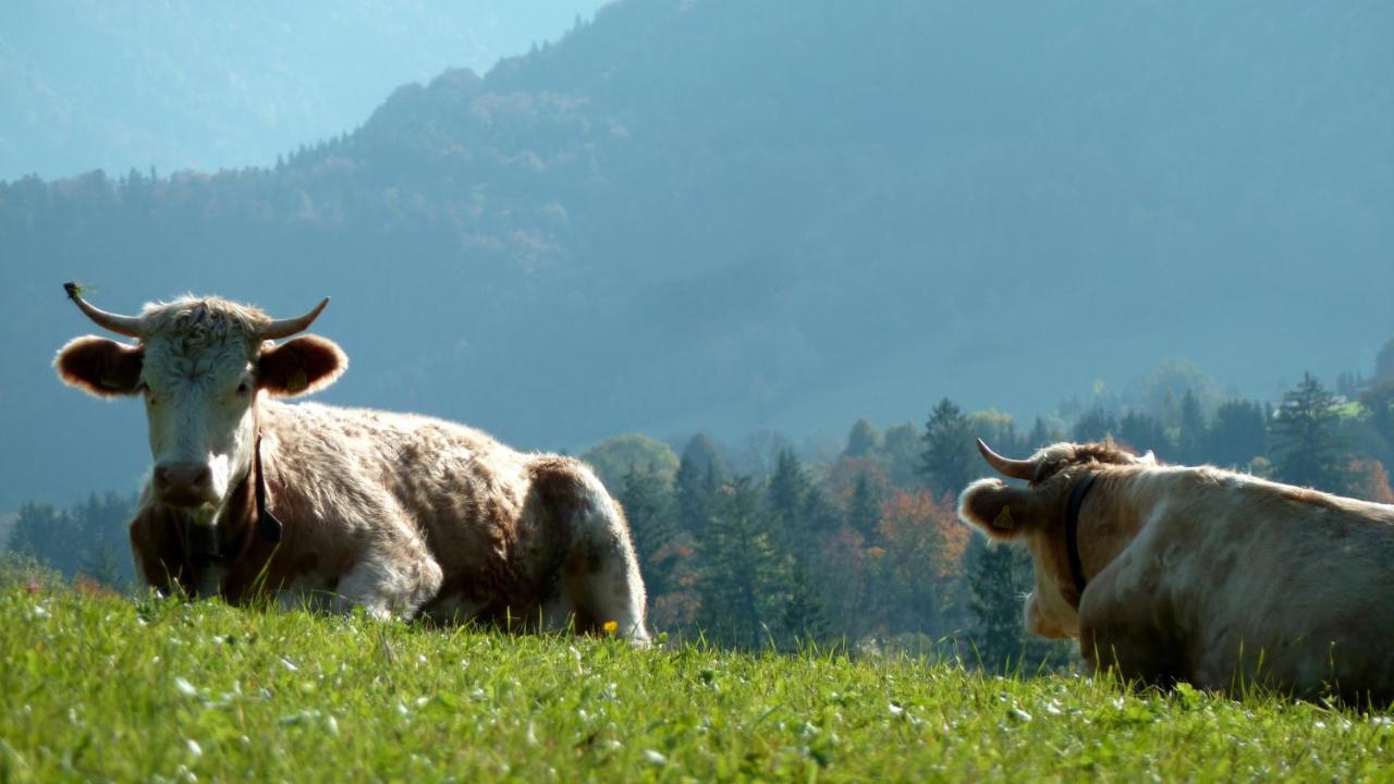 Ferienwohnungen Monika Kloiber Ruhpolding Exterior foto